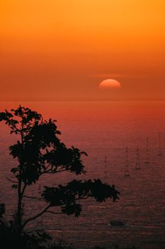 Dramatic sunset over ocean with silhouetted tree, casting warm hues across the water.