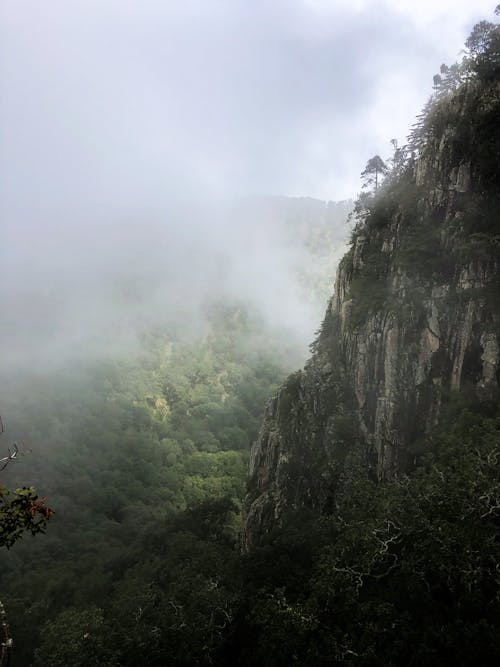 Бесплатное стоковое фото с горные походы, туман