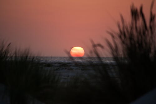 Free Sun Setting in a Sea  Stock Photo