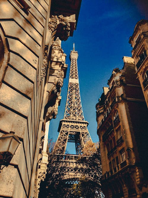 Free The Eiffel Tower in Paris, France Near City Buildings
 Stock Photo