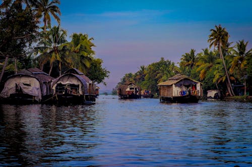 Photos gratuites de arbres, bateaux, bungalows