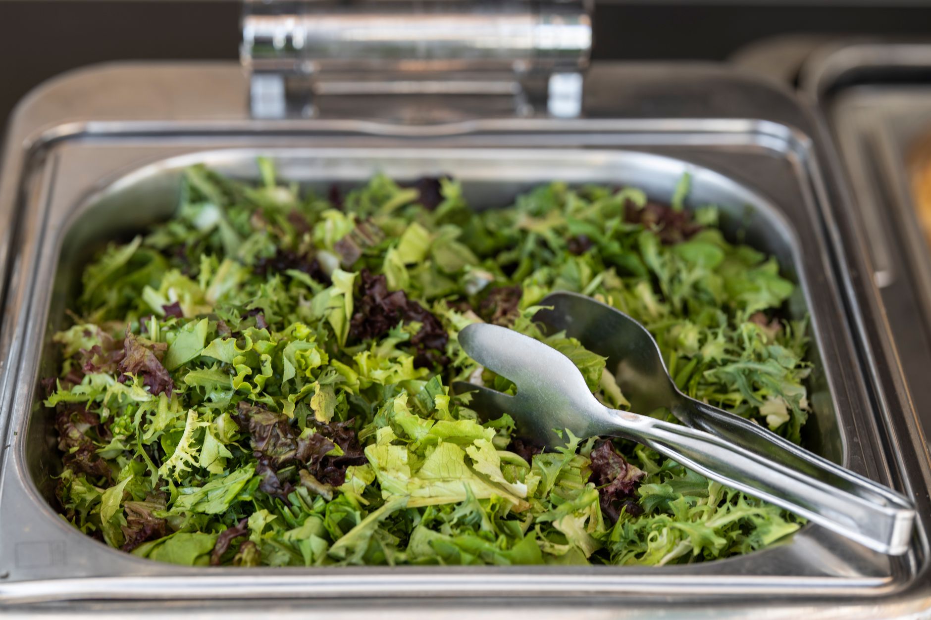 Best Salad Tongs (2026)