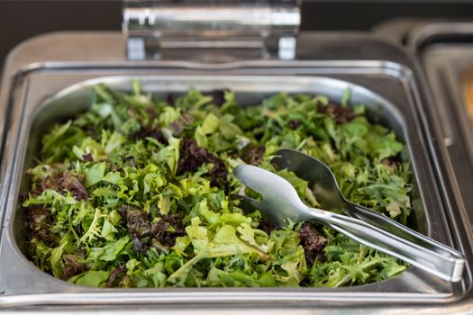 Mixed Salad Greens