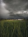 Overcast sky over green field and houses