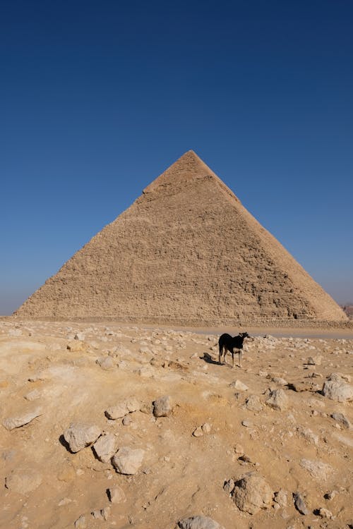 Gratis stockfoto met Egypte, historisch monument, piramide Stockfoto