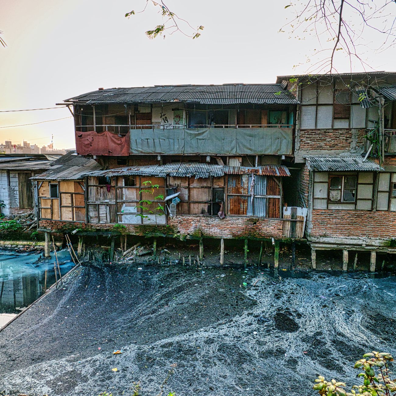 Featured image for the article: Bengaluru study finds diversion channels improve lake water quality