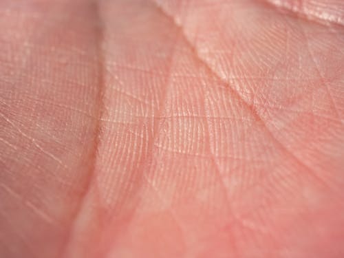 Palm of a Human Hand in Macro Photography