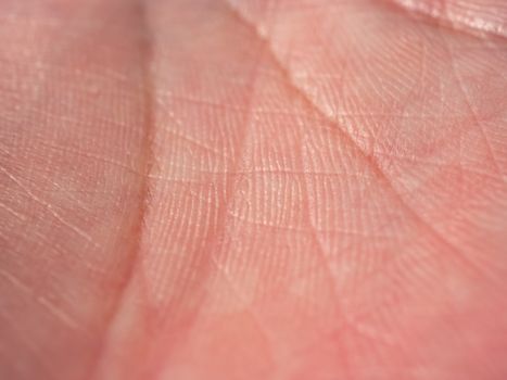 Macro photograph showing detailed texture and lines of human palm skin.