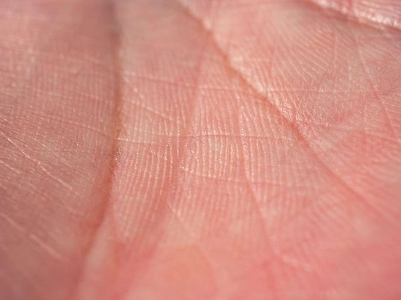 macro photograph showing detailed texture and lines of human palm skin