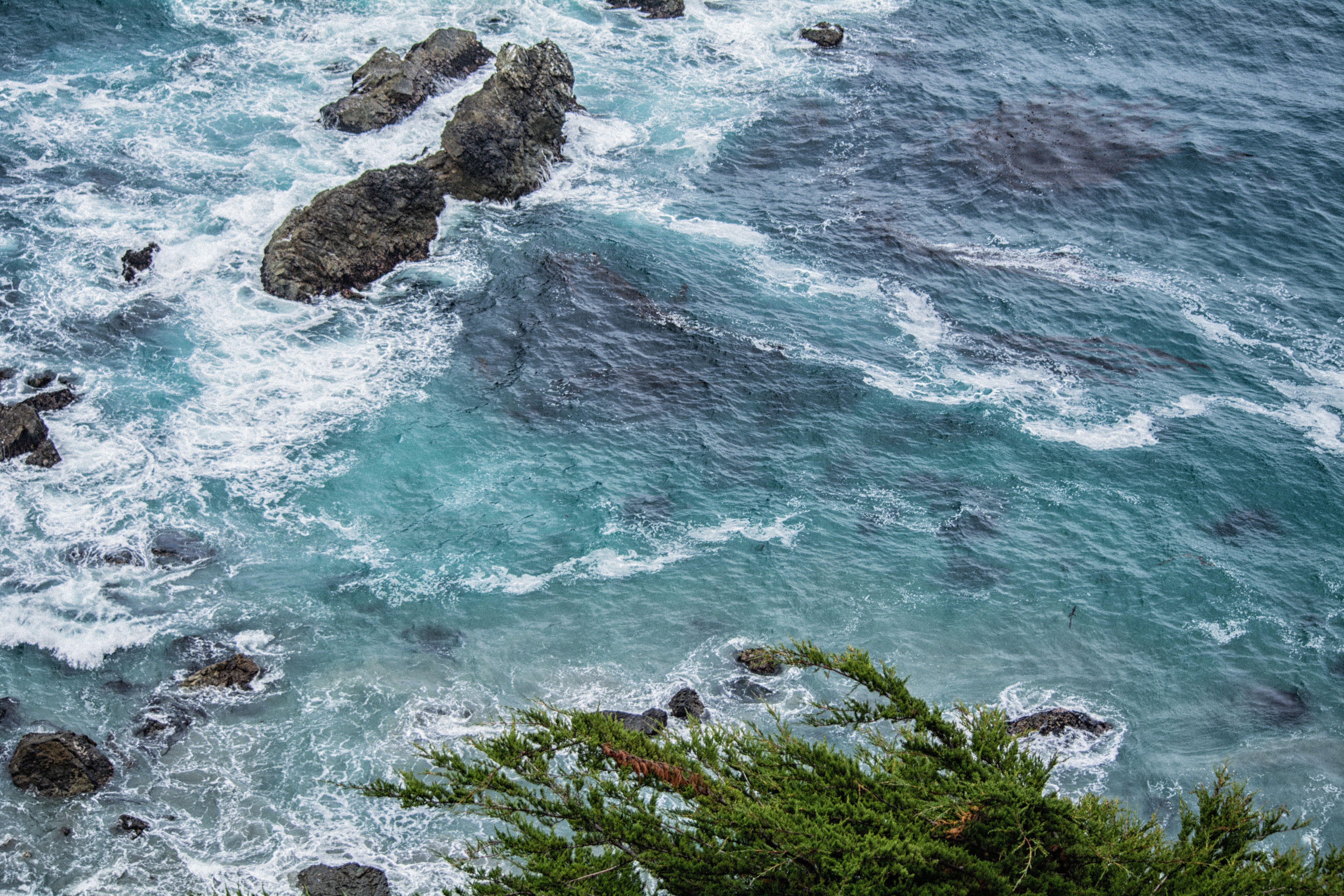 ocean landscape