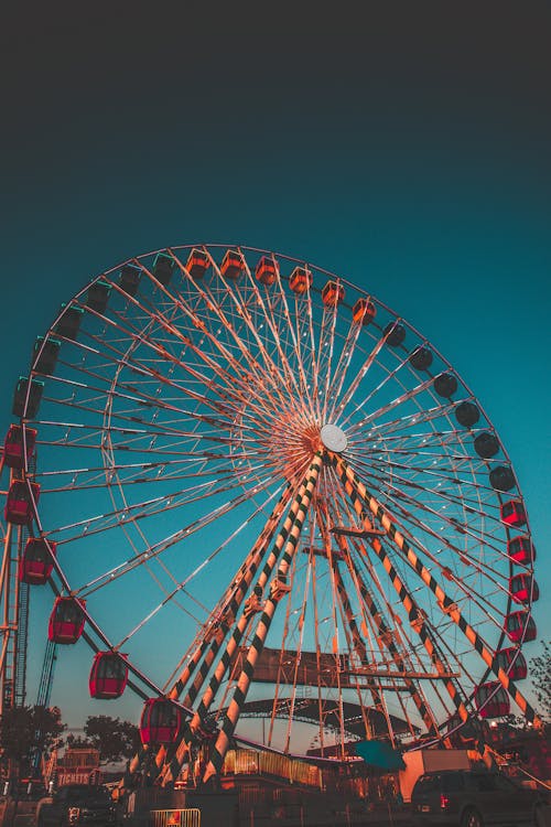 Ferris Wheel in an Amusement Park 