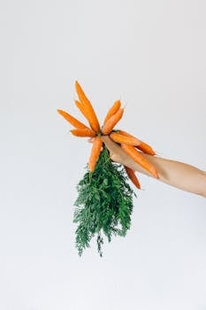 一只手拿着一串顶部带有鲜艳绿色的新鲜有机胡萝卜