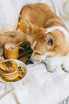 在舒适的秋季环境中，可爱的柯基犬搭配着巧克力煎饼和咖啡