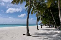 Tropical White Sand Beach