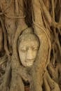 Beige Photo of Buddha Head Sculpture Inbetween Tree Roots
