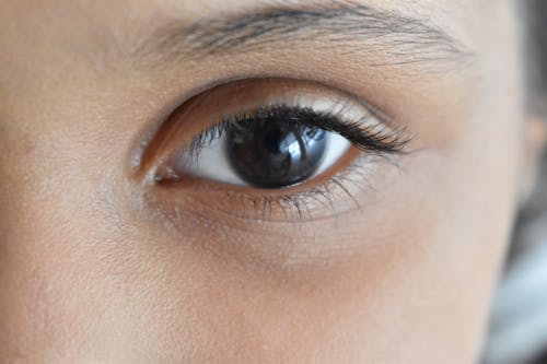 Free Person's Eye in Close Up Photography Stock Photo