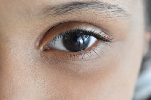 Person's Eye in Close Up Photography