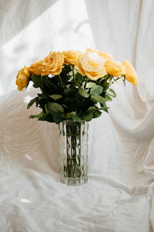 Flores Amarillas En Jarrón De Vidrio Transparente · Foto de stock gratuita