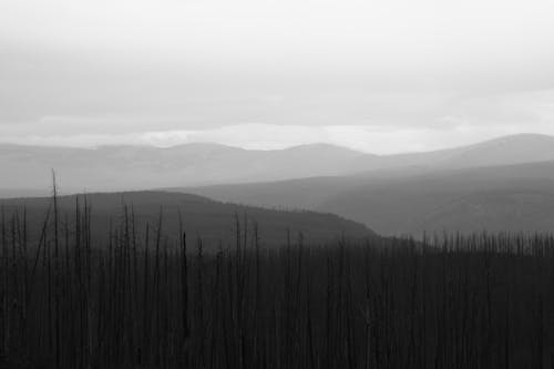 Безкоштовне стокове фото на тему «відтінки сірого, гори, краєвид»