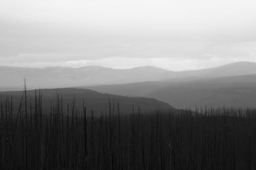 Grayscale Photo of Mountains 