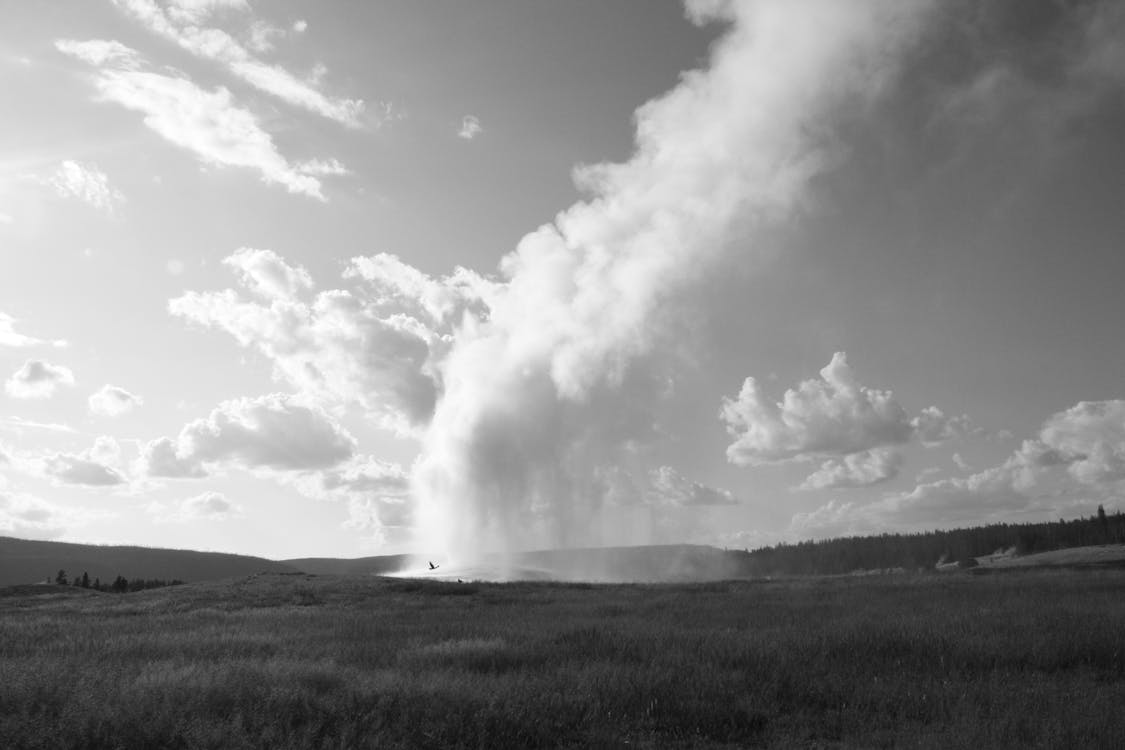 Grayscale Photo of a Grass Field