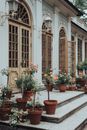 Small delicate orange flowers with green leaves in flowerpots on stairs in front of entrance of old historical construction in daylight