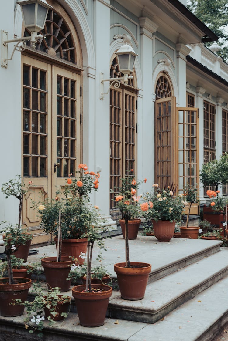 Flowers In Pots On Staircase In Front Of Door Of Historical Building