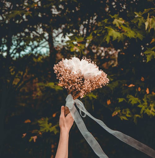 Foto profissional grátis de arranjo floral, buquê, flor