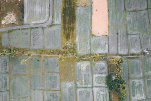 Aerial view of gray agricultural plantations after harvesting
