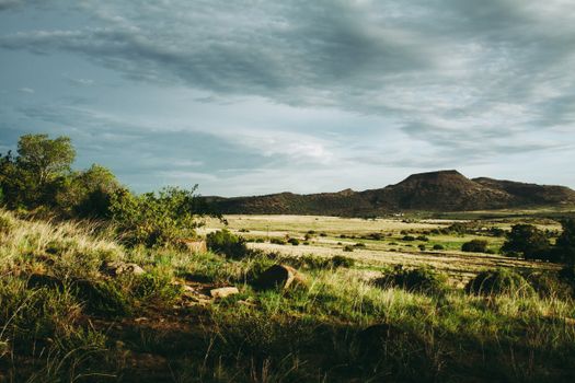Idyllic landscape with rolling grasslands and mountains under a dramatic cloudy sky.