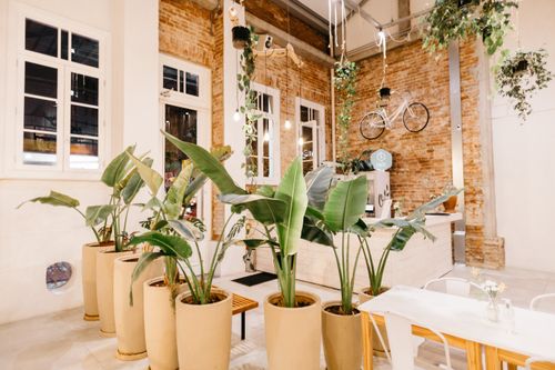 Free Pots with various plants placed on floor in bright cozy room with white and brick walls Stock Photo