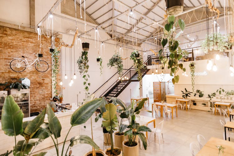 Interior Of Modern Cafe With High Ceiling