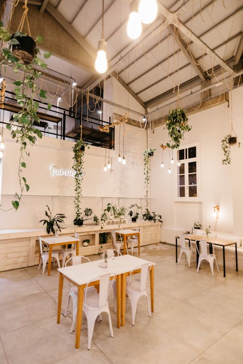 Comfortable chairs and tables placed in creative cafe with windows and white walls decorated with plants