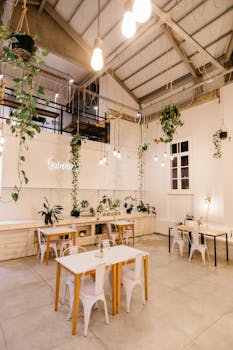 Comfortable chairs and tables placed in creative cafe with windows and white walls decorated with plants