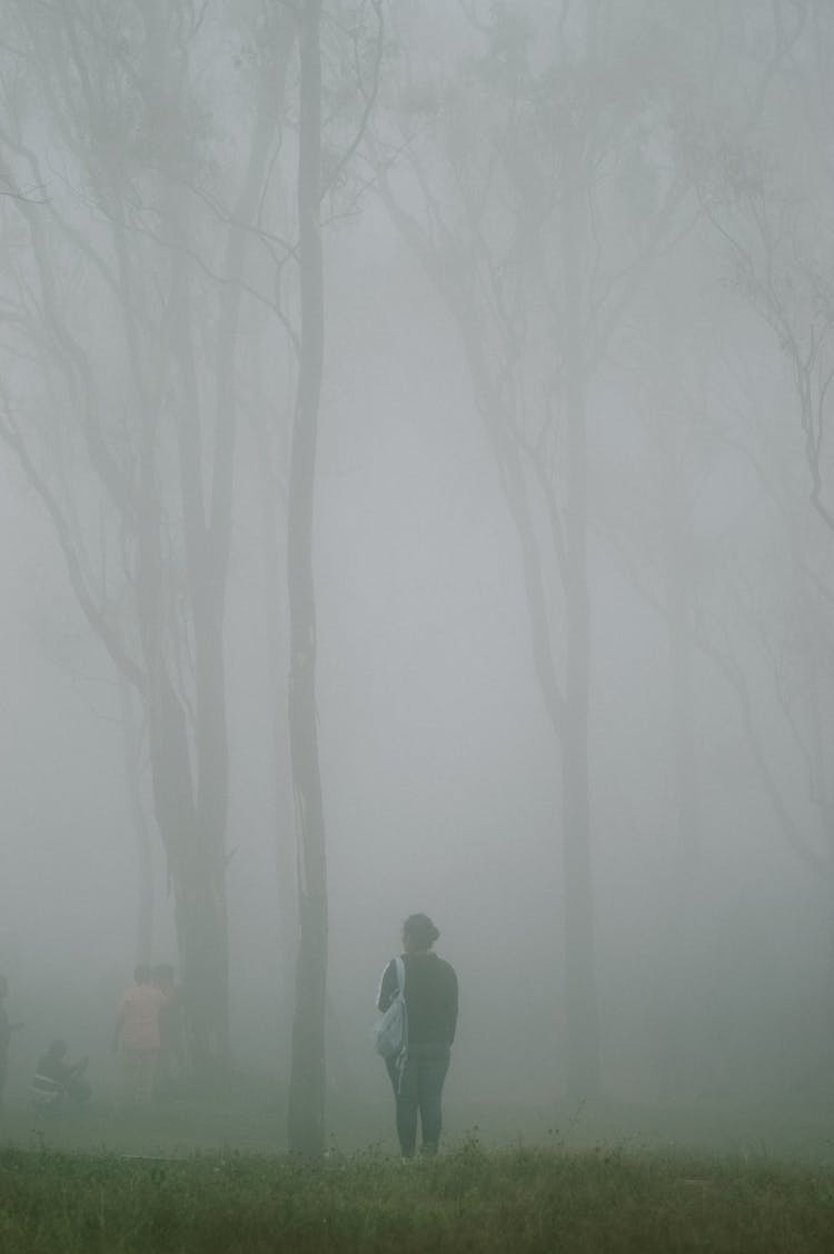 People Walking In Gloomy Nasty Forest