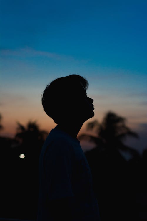 Silhouette of Person during Sunset
