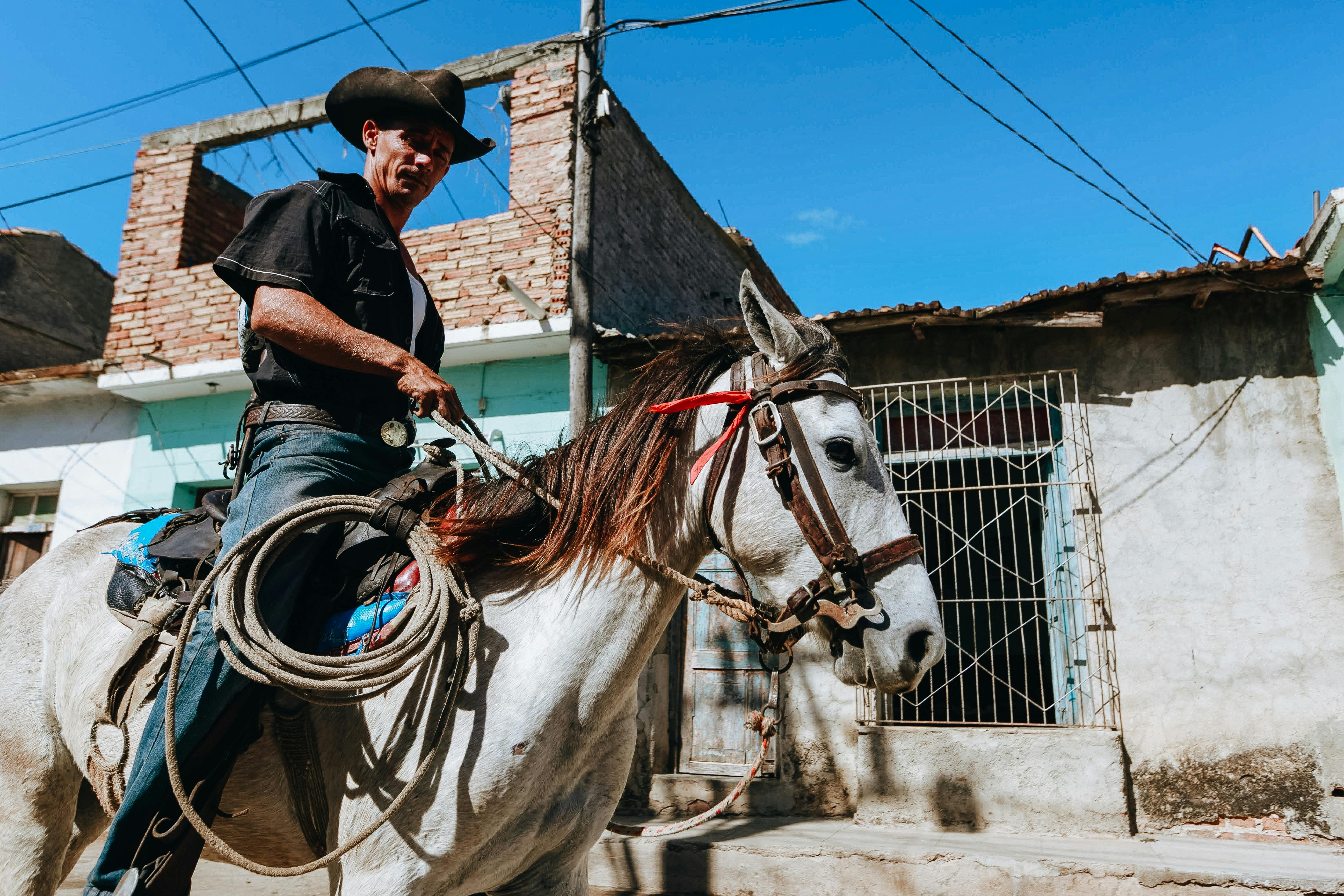 unrecognizable ethnic horseman riding gray stallion on street