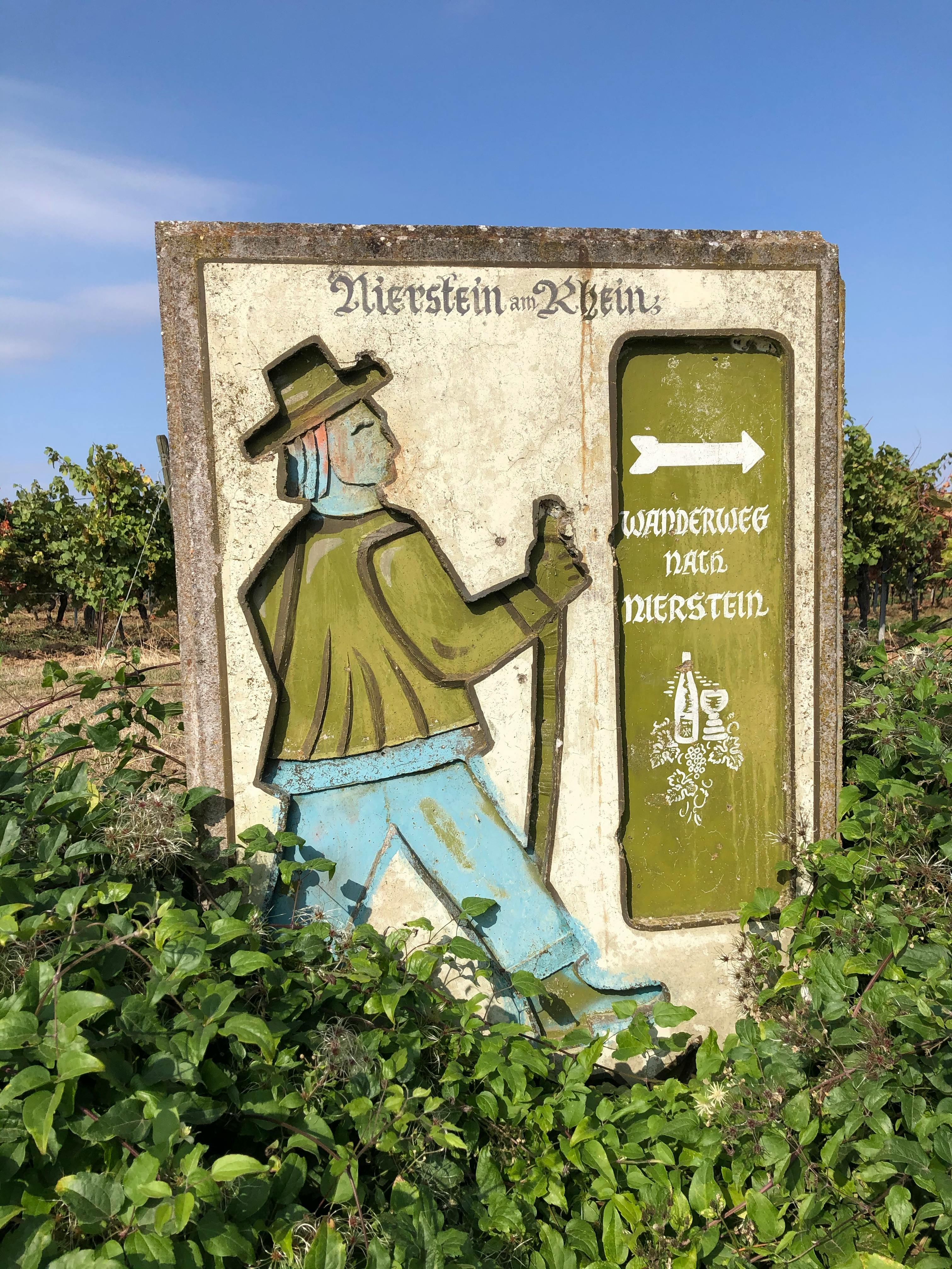 إدارة بيانات العملاء في التجارة الإلكترونية المصرية