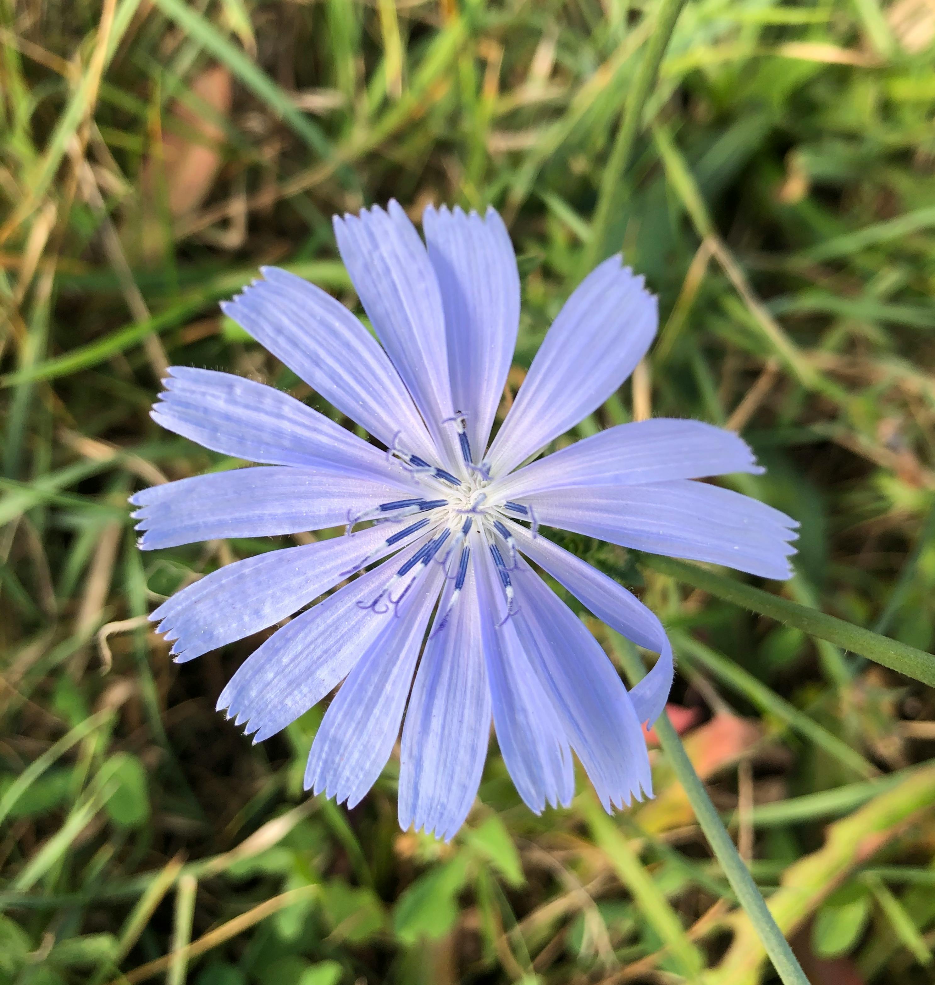 محركات بحث ذكية وAI Search