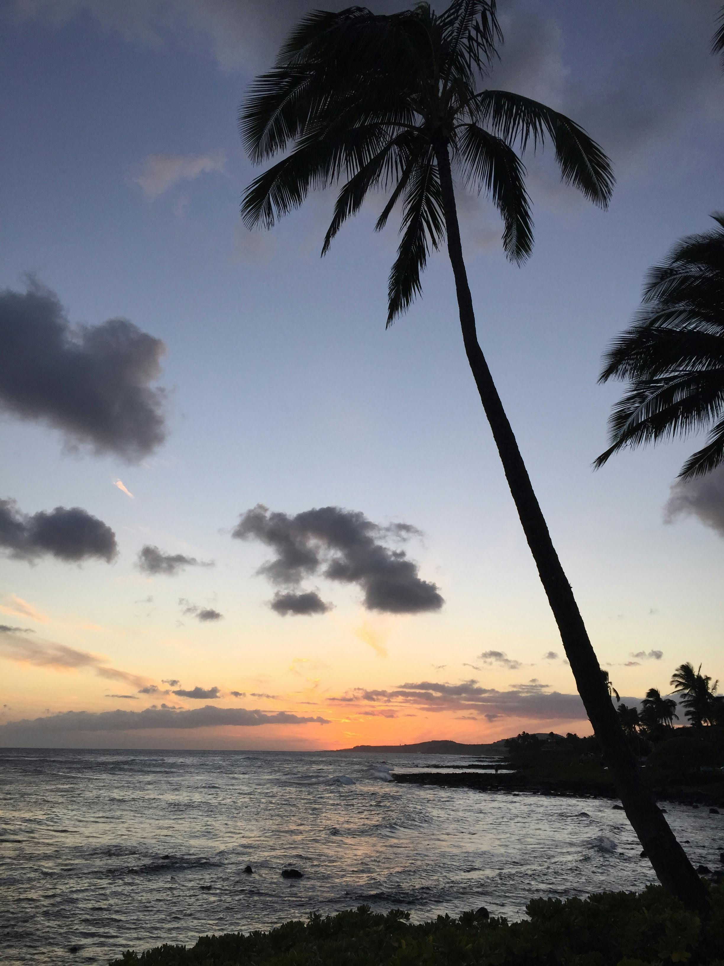 1 360 以上の無料ハワイ画像