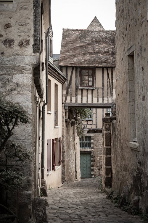 Concrete Houses in a Cobblestone Street