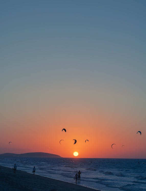 Free Silhouette of Birds Flying over the Sea during Sunset Stock Photo