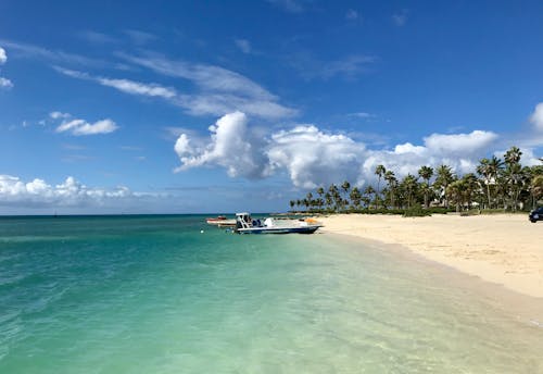 Ảnh lưu trữ miễn phí về ánh sáng ban ngày, aruba, ban ngày