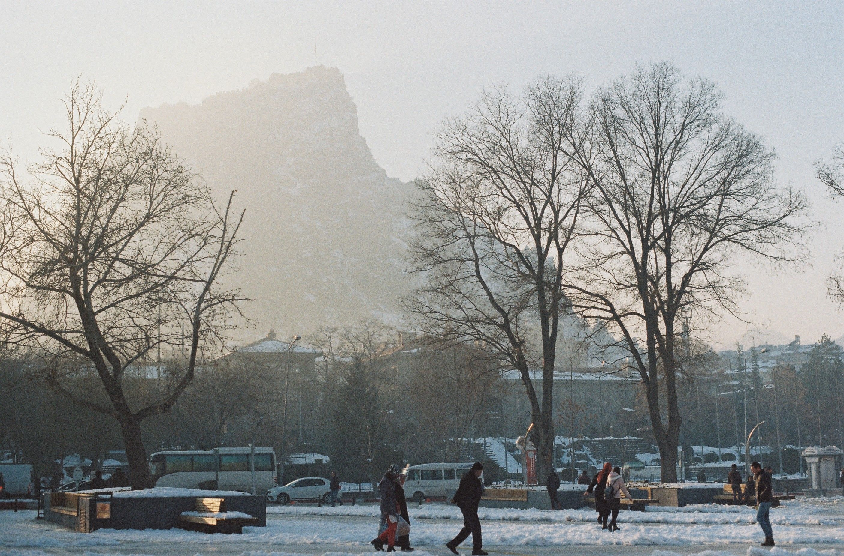 People Walking on the Park Near Bare Trees at Winter · Free Stock Photo