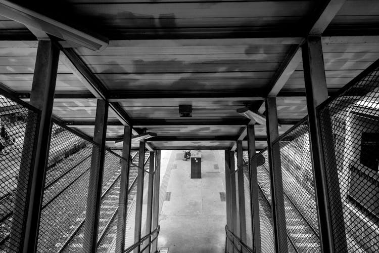 Grayscale Photo Of Empty Stairway With Metal Roofing