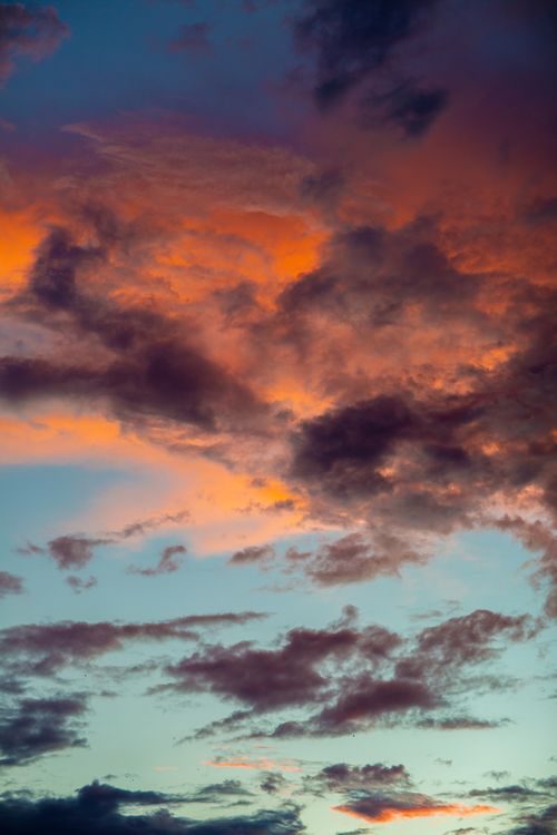 Free Bright cloudy sundown with orange and blue colors in summer evening in twilight Stock Photo