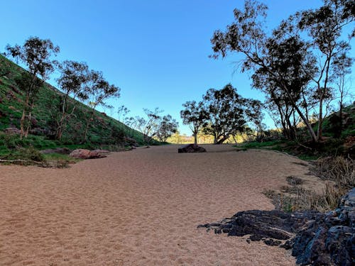 Free stock photo of aboriginal, australia, australian