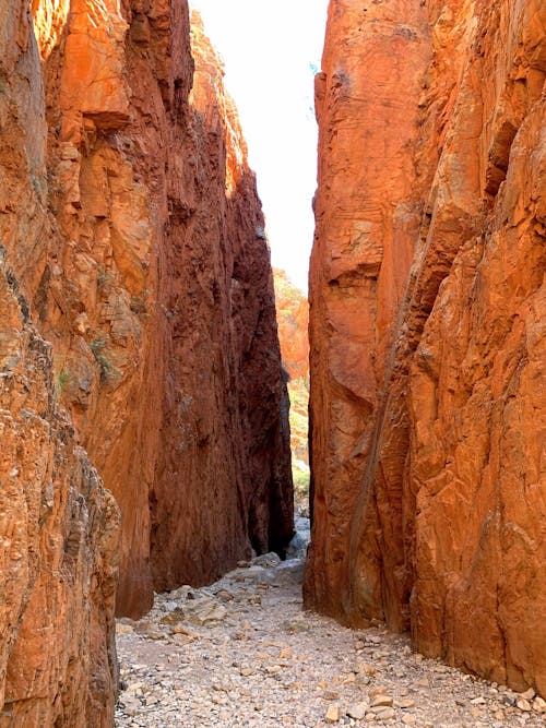 Free stock photo of aboriginal, australia, australian