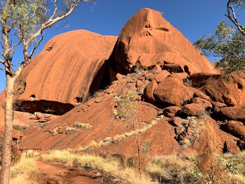 Free stock photo of aboriginal, australia, australian