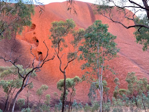 Fotobanka s bezplatnými fotkami na tému ; ayers, Austrália, austrálsky